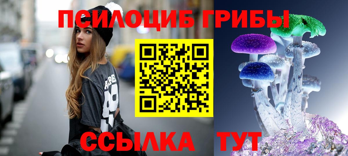 Галлюциногенные грибы Psilocybine cubensis Малгобек