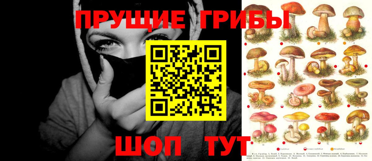 Псилоцибиновые грибы Psilocybine cubensis  Вход с VPN  Малгобек 